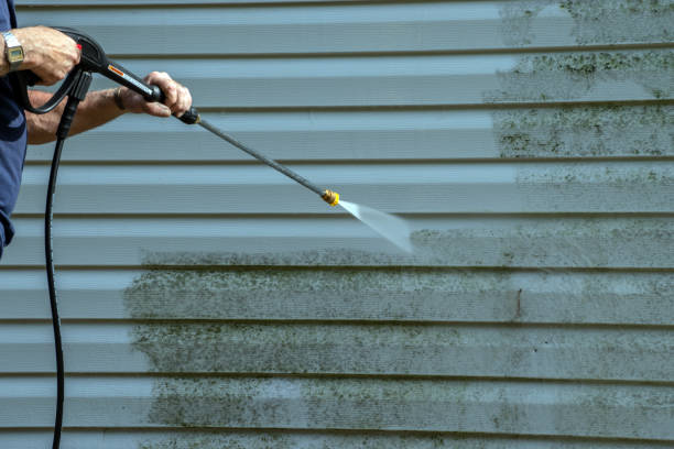 Best Sidewalk Pressure Washing  in Chieand, FL